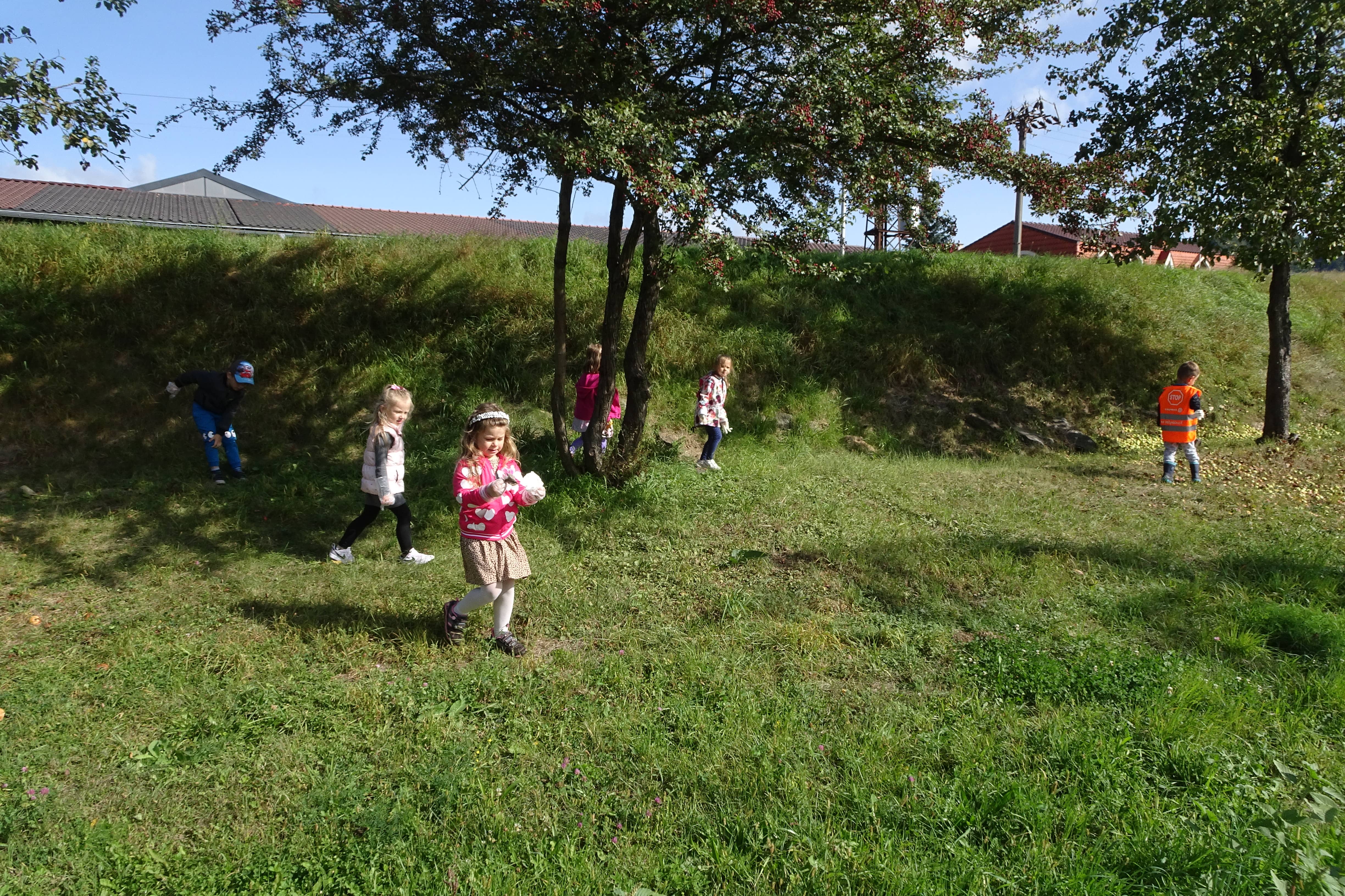 DSC08337